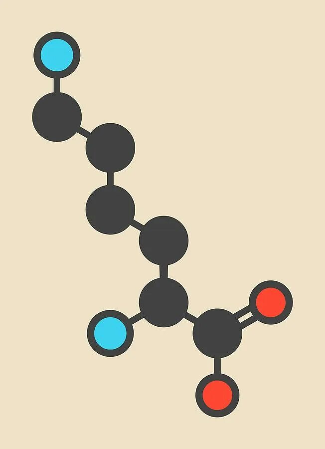Молекулы которые содержат c. Lysine молекула. человек молекула. изображение молекулы. молекула волос человека.