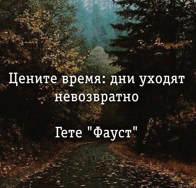 Про ушедшее время. Цитаты про время. Про время высказывания. Цени время цитаты. Афоризмы про время.