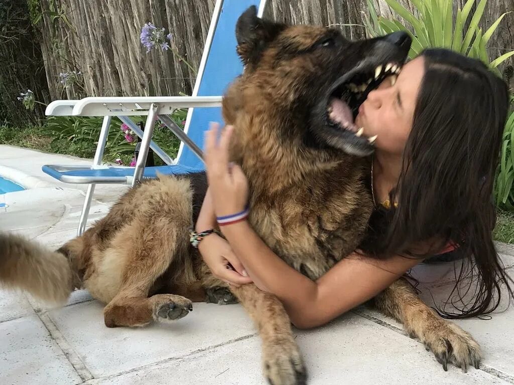 Where is her dog