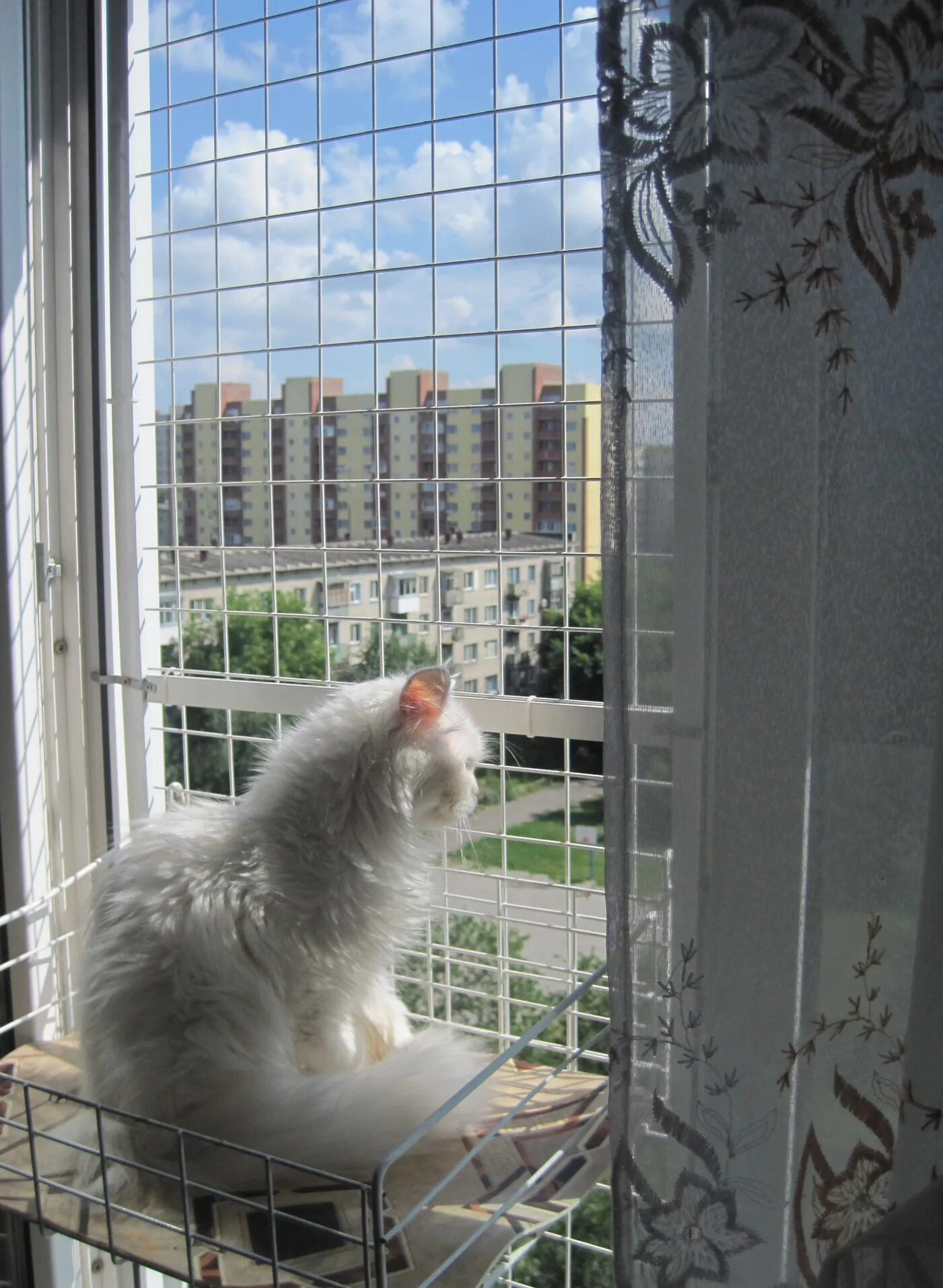 Сетка на окно для кошек антикошка купить. Решетка антикошка. Антикошка на окна. Решетки антикошка на окна. Сетка антикошка.