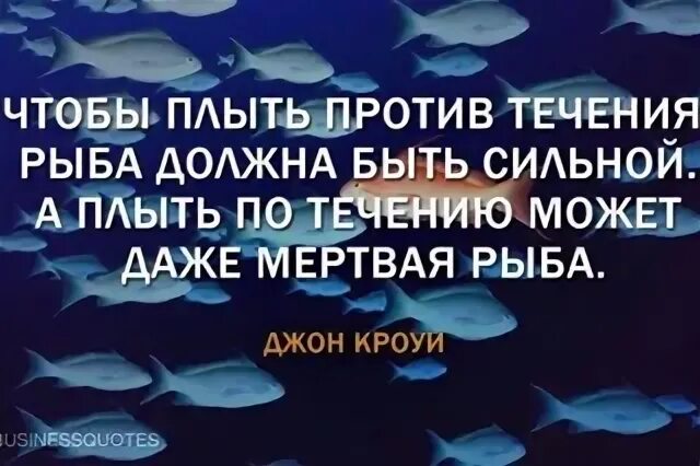 Чтобы плыть против течения рыба должна быть сильной. Плыть против течения цитаты. Живая рыба плывет против течения дохлая по течению. Мертвая рыба плывет по течению а Живая против.