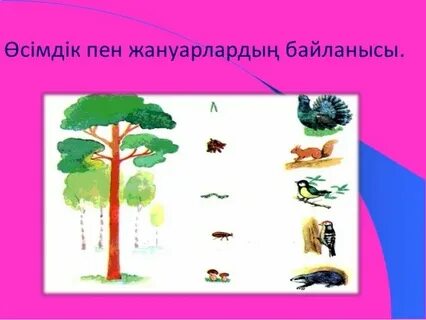 Шоуда жалаңаш Эштон Катчер