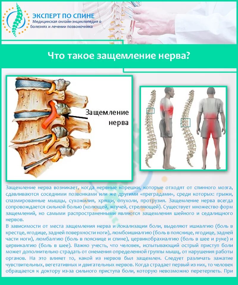 Поясничная грыжа какой врач лечит