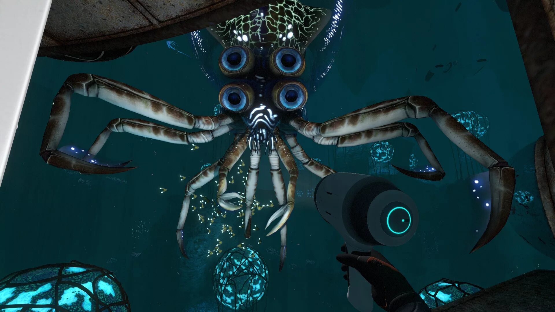 Игра в кальмара под. Кальмар краб Subnautica. Кальмарокраб в Subnautica. Субнаутика осьминог. Subnautica осьминог.