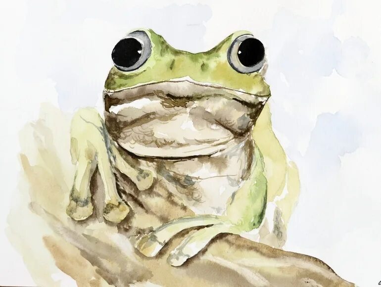жаба арт. лягушка рисунок. жабка рисунок эстетика. жаба арт. эстетичная лягушка рисунок.