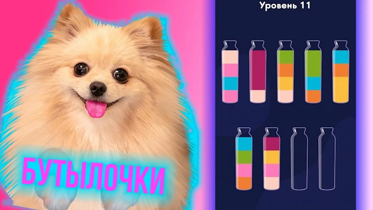 Собачку элис геймер. Пушистый геймер элис. пушистый геймер собачка элис. элисок пушистый геймер.
