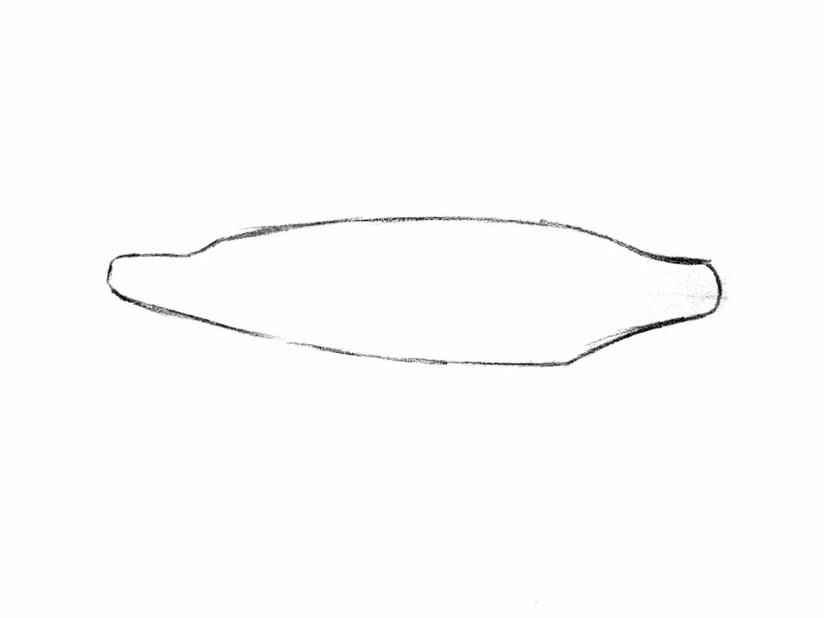 Схема рисования щуки. Поэтапный рисунок щуки. Нарисовать щуку. Поэтапное рисование щуки.
