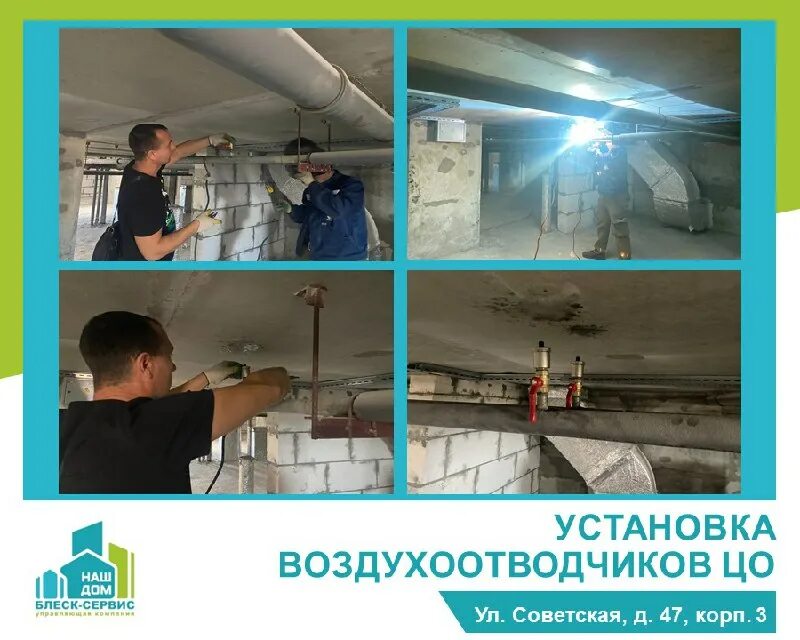 управляющая компания блеск сервис. управляющая компания блеск сервис. управляющая компания блеск сервис. клумба за двором. дерево школа.