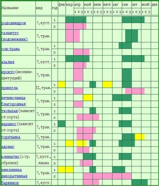Когда начинают цвести цветы. Таблица сроков цветения многолетников. Сроки цветения растений таблица. Календарь цветения многолетников по месяцам с весны до осени. Таблица цветения многолетников по месяцам.