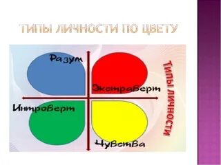 Книга 4 цвета людей