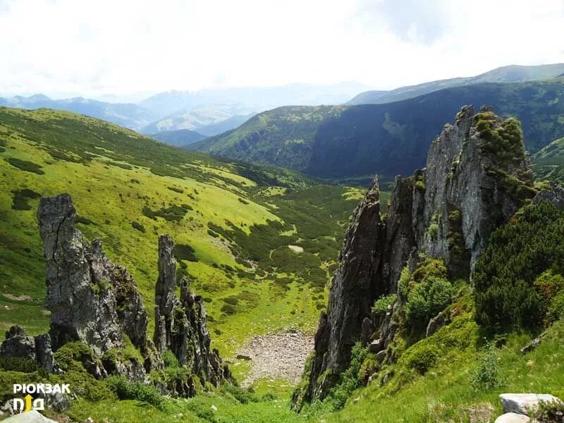 Чорногірський хребет. Вичепруф гора. Гора Васанская. Гора Васанская фото.