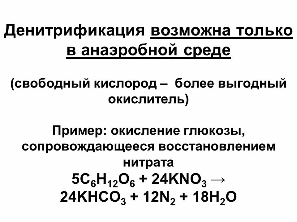 Конечным продуктом нитрификации являются