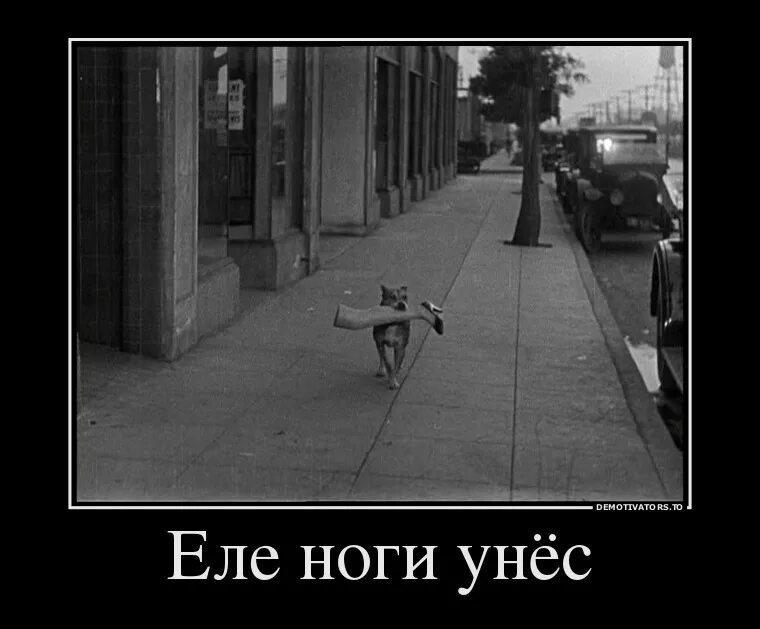 Фразеологизм. Уносить ноги фразеологизм картинка. Еле волочит ноги. Еле ноги волочить. Еле ноги волочить.