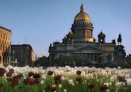 Цвета питера