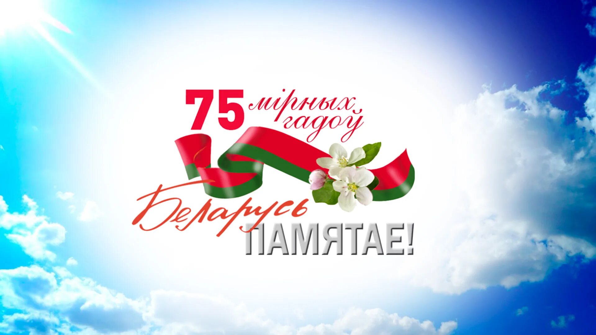 2 мая беларусь. С днём победы 9 мая беларусь. ленточка на 9 мая в беларуси. день победы фон беларусь. цветок победы беларусь.