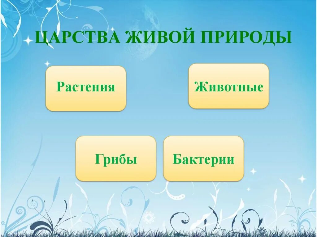 Царством живой природы являются. Царства живой природы. Царства живой природы царство представители. Царство живой природы растения. Разнообразие живой природы презентация.