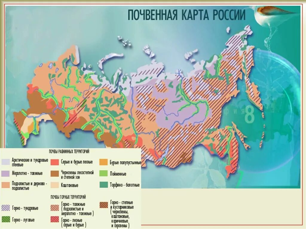 Лучшие почвы россии. Карта основных почв России. Типы почв России карта. Типы почв на территории России контурная карта. Карта почвы России 8 класс география.