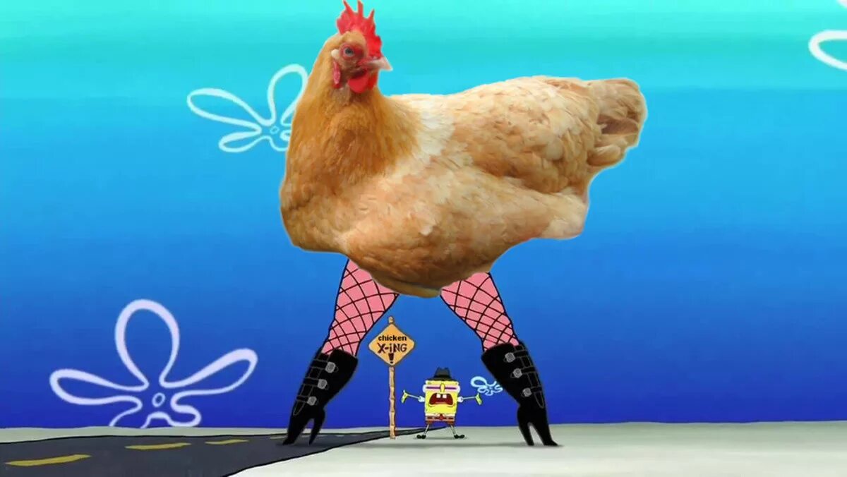 включи 1 курицу