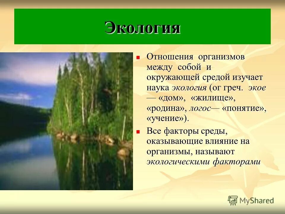 Экология отношения организмов. Взаимоотношения организмов между собой и с окружающей средой. Экология отношения организмов между собой и окружающей средой. Отношения организмов между собой и с окружающей средой изучает наука. Экология - наука о взаимоотношениях организмов и окружающей средой..