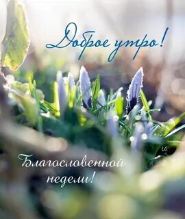 Весеннее утро просыпаемся