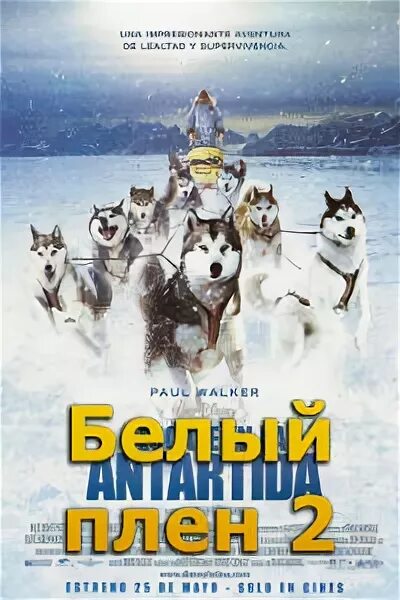 белый плен 2. белый плен фильм нерпа касатка. белый плен 2. холодный плен фильм про хаски. белый плен фильм 2006.