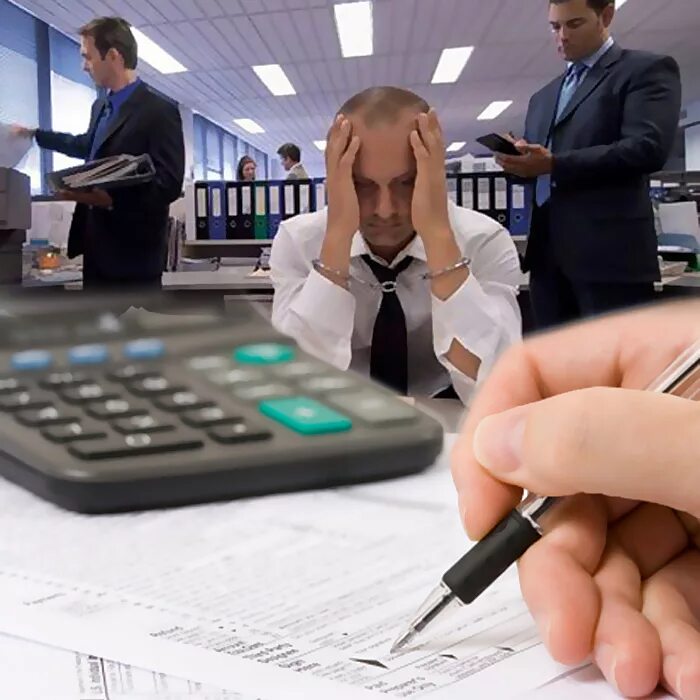 Экономика и бухгалтерский учет. Налоговый инспектор. Проверки бизнеса. Налоговый контроль предпринимателей. Контроль бизнеса.