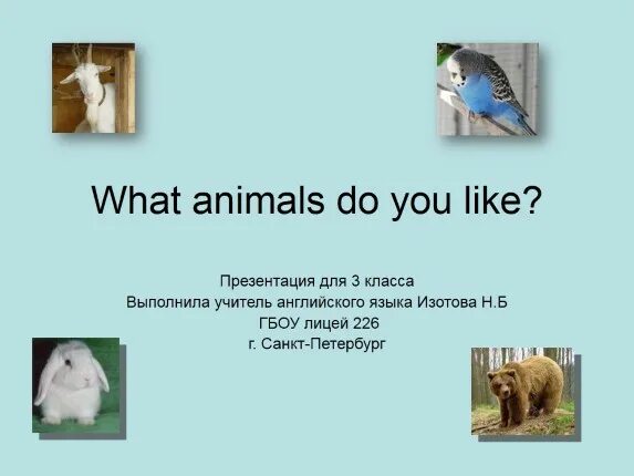 What animal do you like. Do you like animals. Как ответить на вопрос what animals do you like. Do you like animals перевод.