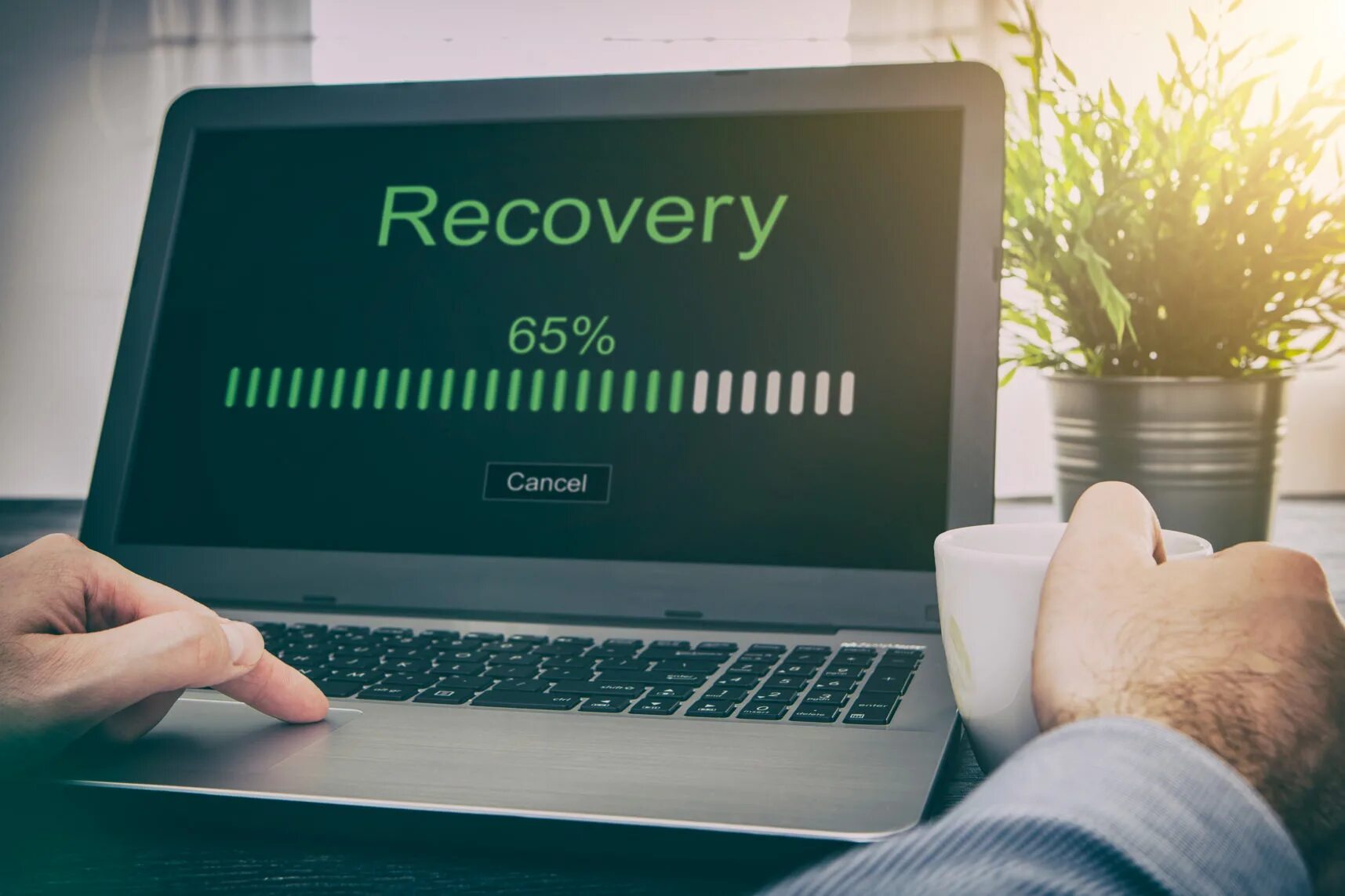 Recovery. Data Recovery. Восстановление потерянных данных. Данные компьютера. Recover ru