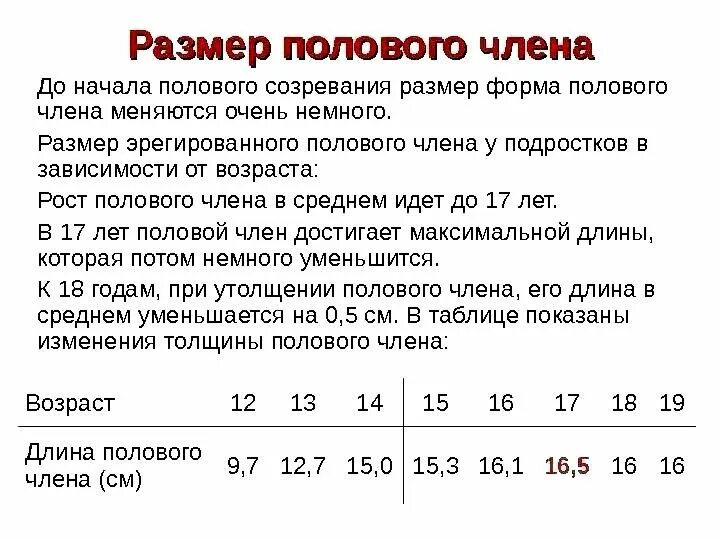 Размер имеет. Таблица см полового органа. Таблица длины полового члена. Ширина полового члена таблица. Таблица длины члена по возрасту.