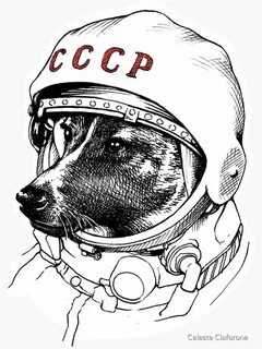 День космонавтики собака