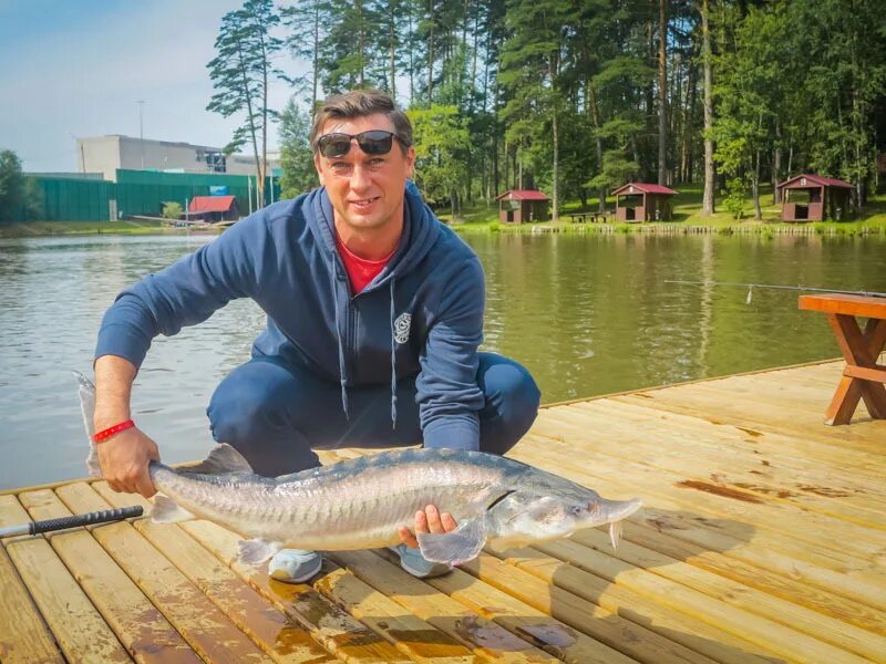 Золотой сазан сайт. Рыбалка на Симферопольском шоссе золотой сазан. Золотой сазан Симферопольское шоссе 41 км. Золотой сазан Симферопольское шоссе. Золотой сазан Подольск.