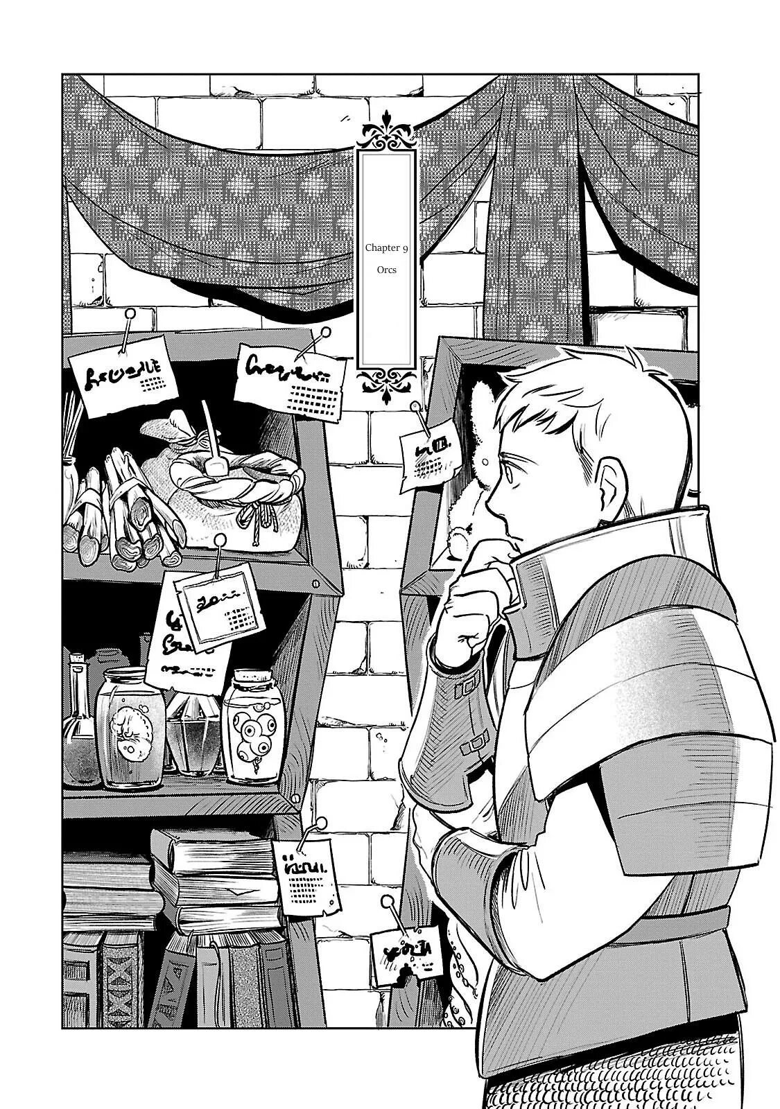 Dungeon meshi read. Подземелье вкусностей (dungeon meshi). dungeon meshi манга. dungeon meshi farlyn.