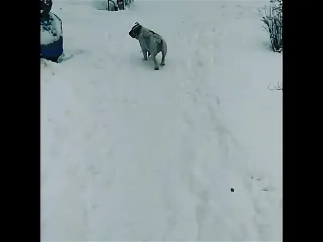 Пришел марток надевай семеро. Пришёл марток надевай семеро. Марток надевай семь порток. Пришел марток одевай 7 порток. Пришёл марток надевай 100 порток.