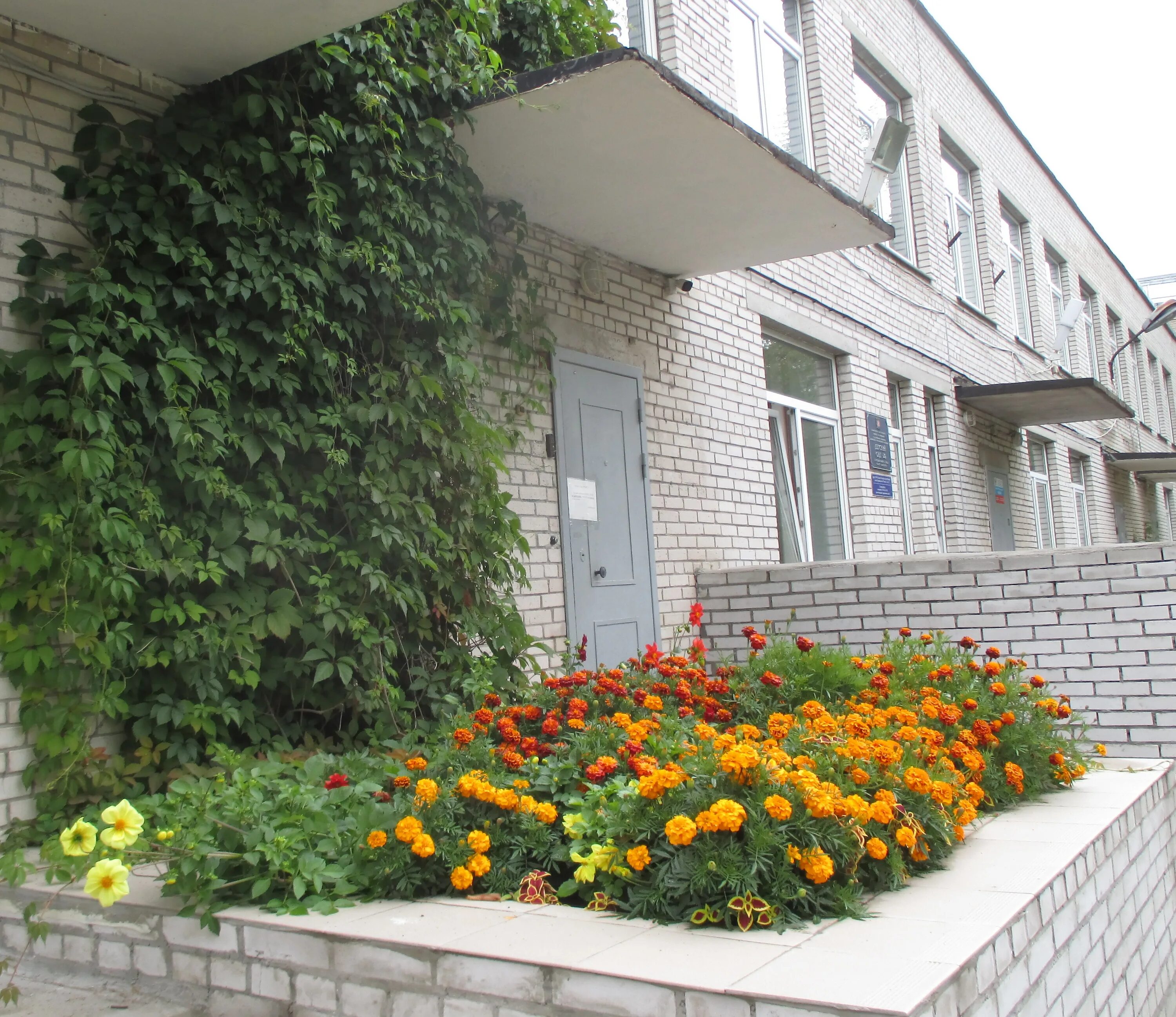 гбдоу детский сад no 29. детский сад 29 выборгского района. сайт детского сада 29 калининского района спб. 23 сад колпино. сайт 29 садика московского района.