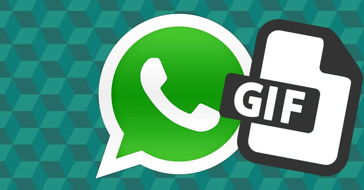Create whatsapp. Гиф для ватсап. whatsapp анимация. иконка whatsapp gif. гифка ватсап.