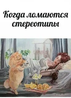 Кот туда