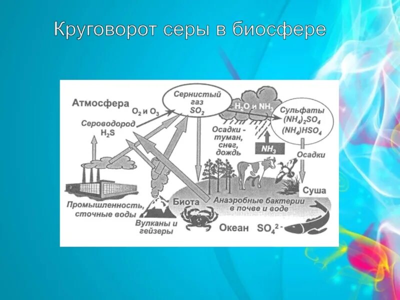 Роль микроорганизмов в круговороте серы. Круговорот серы в биосфере схема. Круговорот веществ серы в биосфере. Круговорот серы в биосфере схема упрощенная. Круговорот серы в природе простая схема.