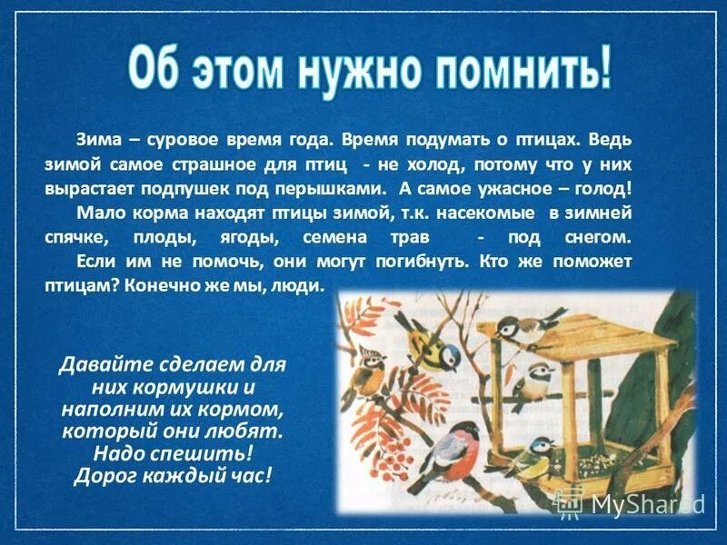 Птичья кормушка. 9 из 10 птиц погибают зимой. У какой птицы птенцы появляются зимой. Птичкам голодно зимой. Презентация на тему зимние птицы.