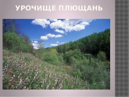 Липецкая поляна