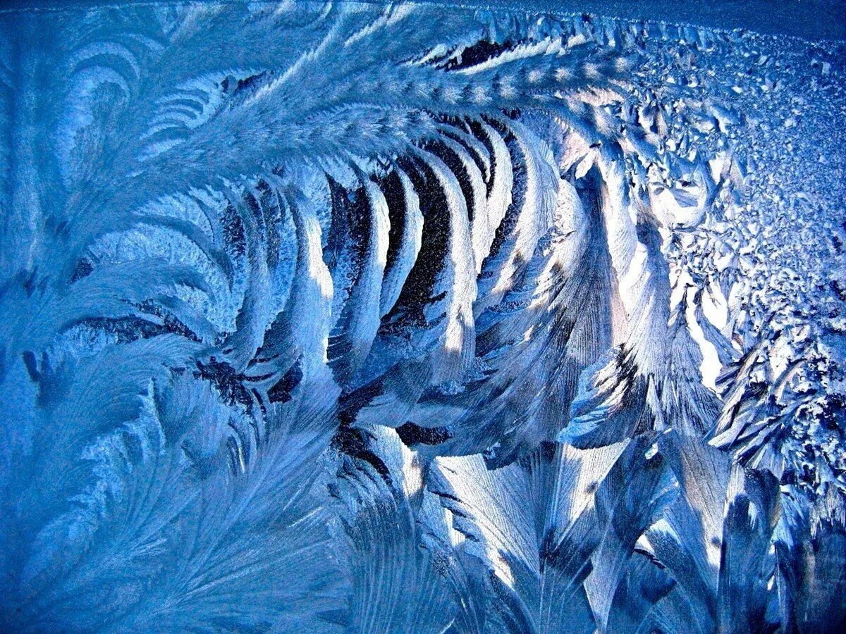 Рисунок мороз. Морозные узоры. Зимние узоры. Зимние узоры на стекле. Ледяные узоры на окнах.