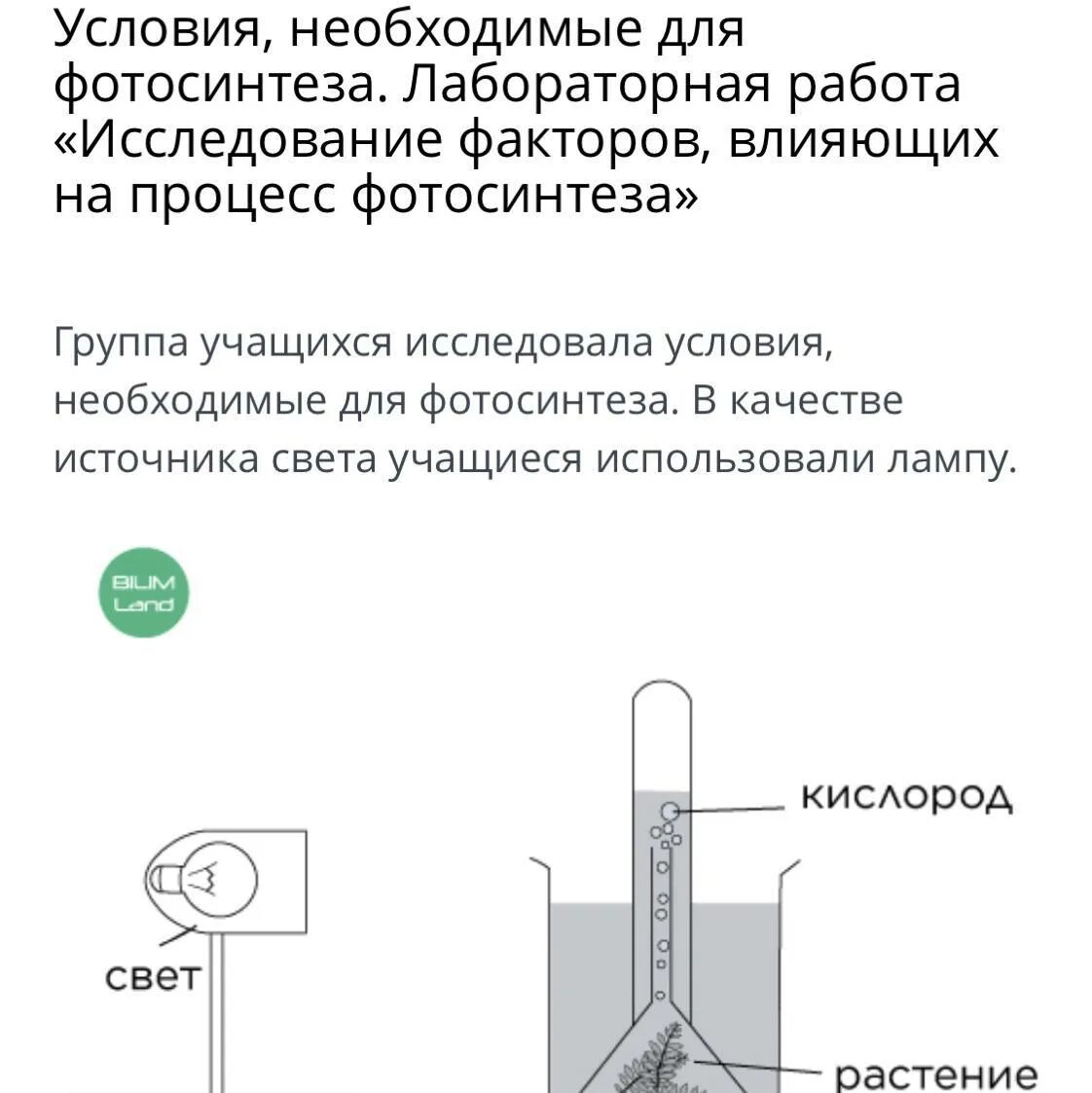Ученый открывший фотосинтез. Основные этапы в истории изучения фотосинтеза. Лабораторная работа фотосинтез 6 класс. Опыт ван гельмонта фотосинтез. При изучении фотосинтеза ученые установили что.