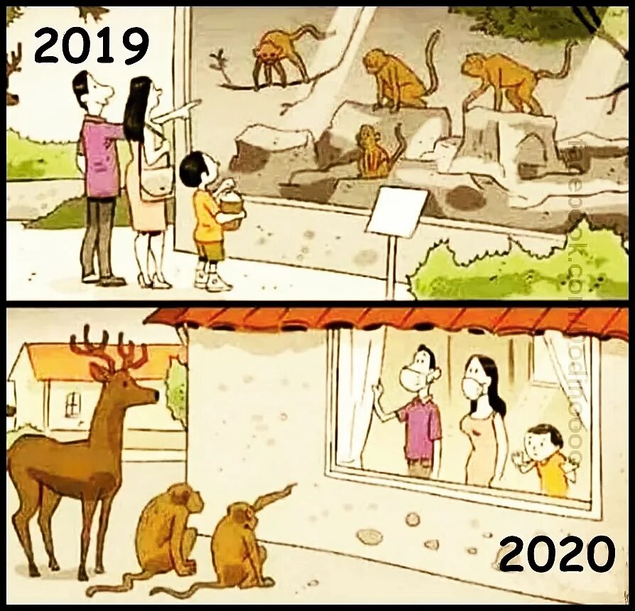 юмористические картинки. карикатуры смешные. 2020 год приколы.