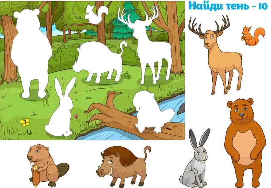 Узнавать про животных. Найди тень Дикие животные. Лесные животные для детей. Лесные животные задания для дошкольников. Картинки животных для дошкольников.