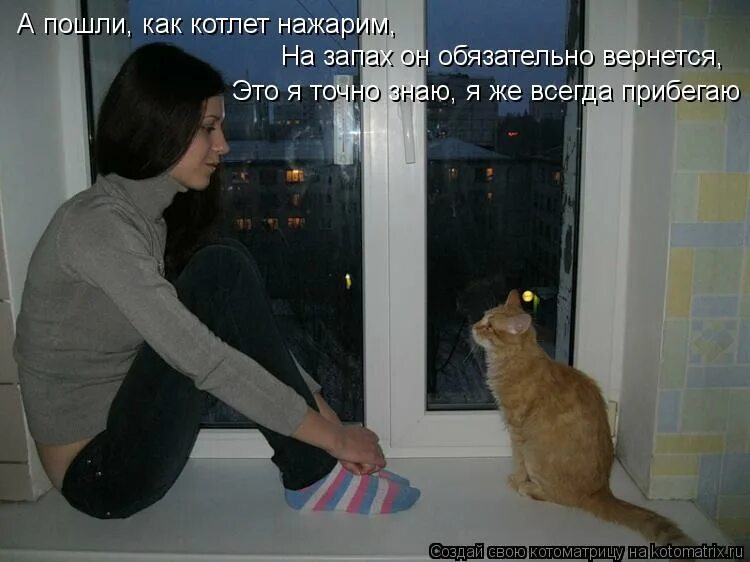 Голодный кот. Его знать нет дома. Мемы с собаками. Котенок на кухне. Приколы про котов и колбасу.