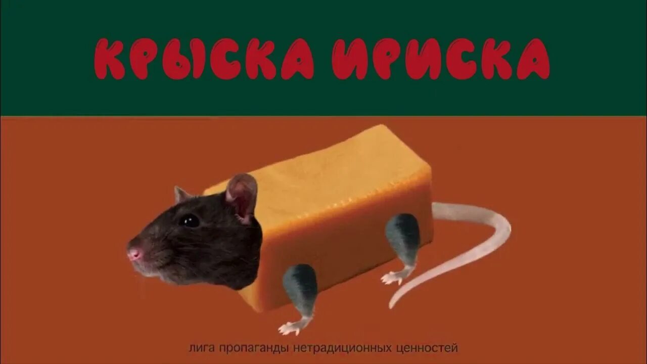 Включи кошка жвачка. Мышка сосиска крыска Ириска. Крыска Ириска. Мышка сосиска крыска Ириска кот бутерброд авокадо Бегемот. Мышка сосиска.