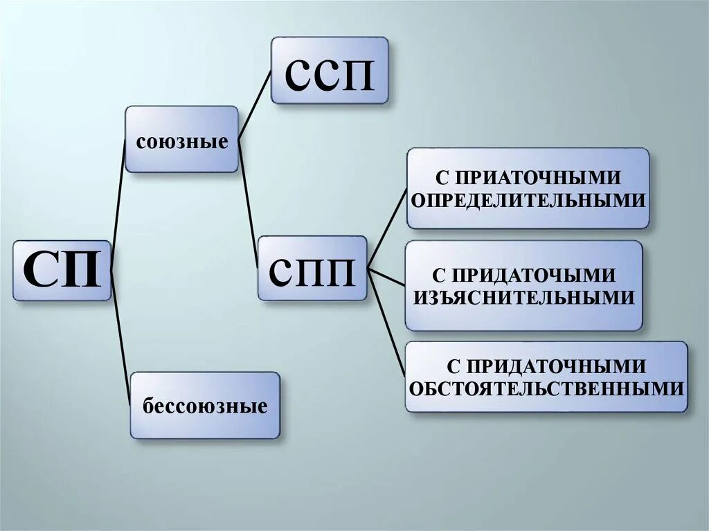 СПП И ССП предложения. Схема ССП. ССП СПП БСП. Сложные предложения ССП.