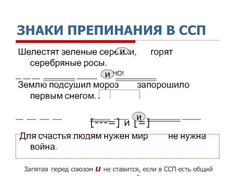 Тест 9 сложносочиненные предложения. Знаки препинания в ССП. Знаки препинания в сложносочиненном предложении. Пунктуация в ССП. Знаки препинания в сложносочиненном предложении 9 класс.