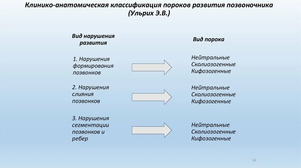 Классификация анатомии. Классификация анатомии