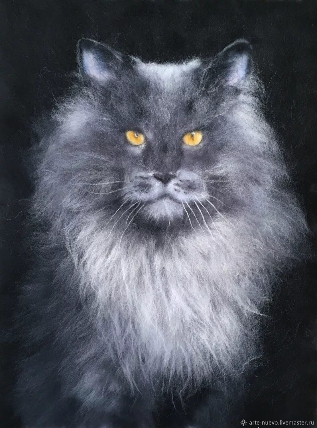 Жирный кот. Шерсть мейн. Много шерсти от мейн куна. Коты мейн куны. Мейн-кун.