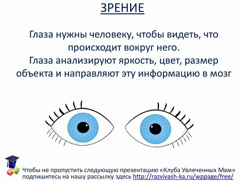 Помогай глазки. Глаза ребенка. Для чего нужны глаза. Зрение человека. Сообщение о глазах.